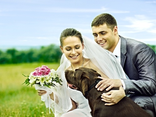 Follow these tips to make sure your dog has as much fun at your wedding as the rest of your guests.